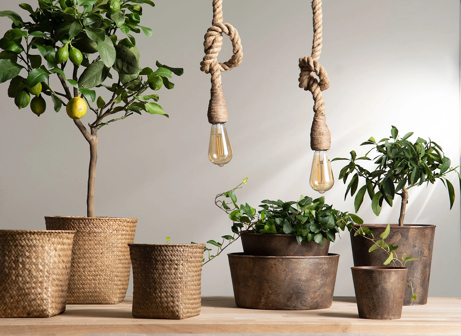 Lampa REP naturtamp 150 cm