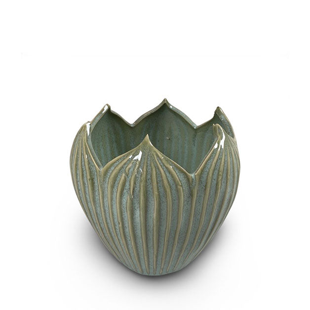 Kruka CORDATE mint