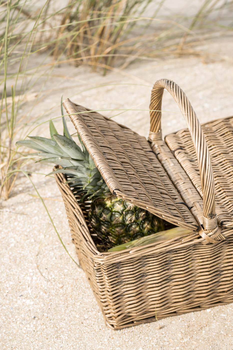 Korg PICKNICK B:30 H:42 L: 43 pil
