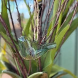 Vas hängande SHEERE BIRDS