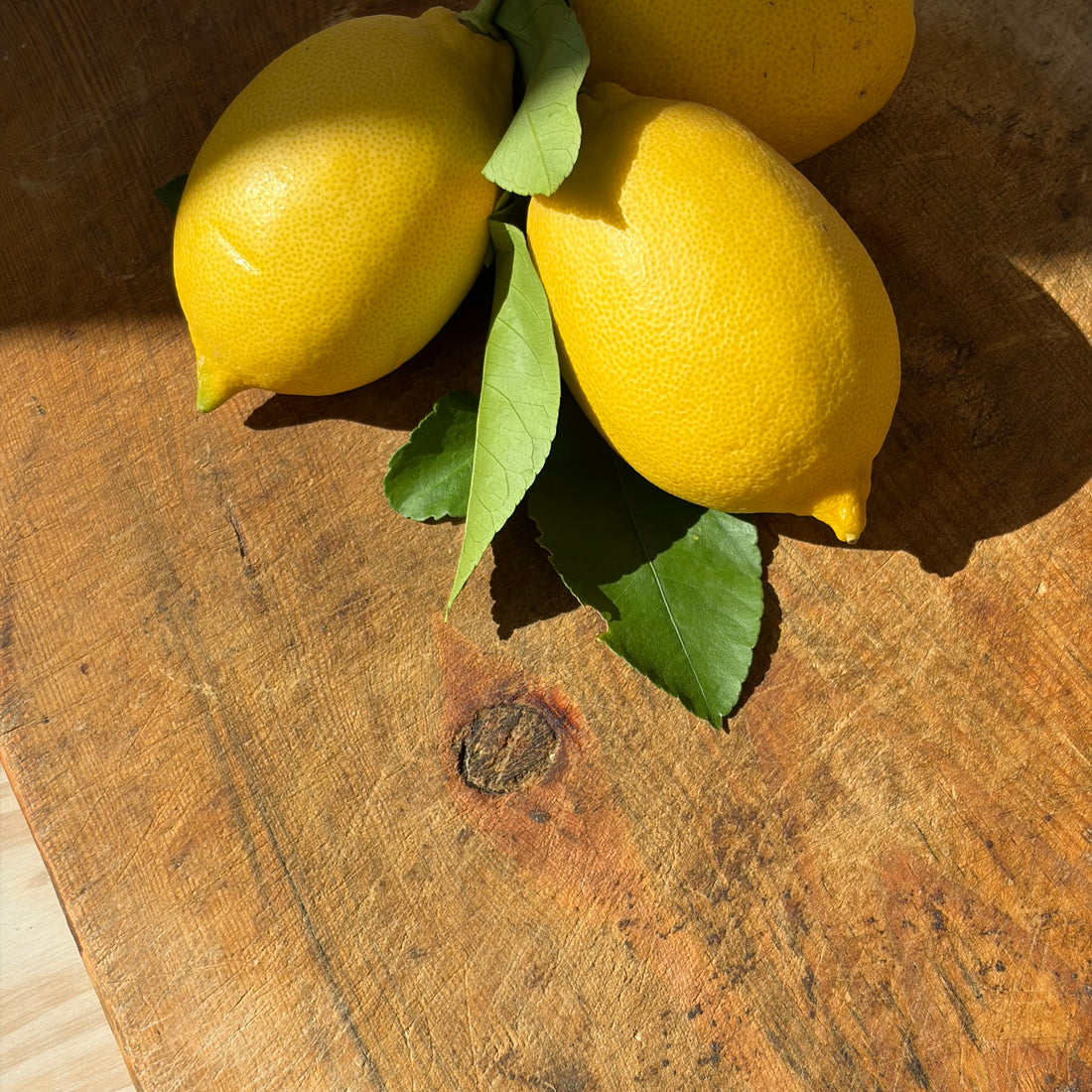 Serveringsbricka/brödspade VINTAGE rektangulär 38x32cm