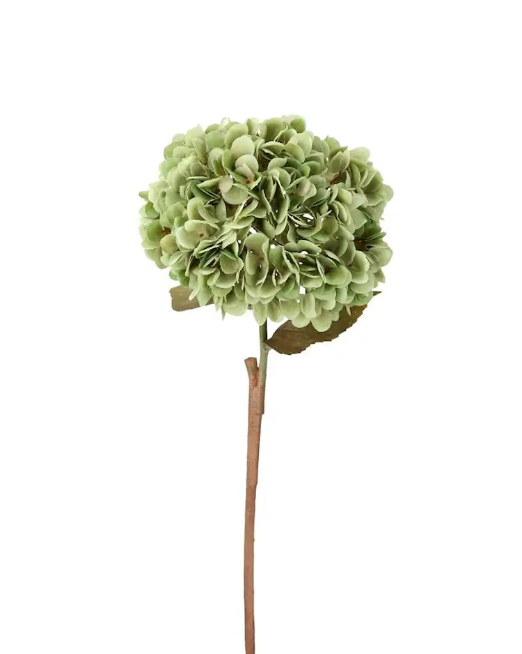 Naturtrogen grön konstgjord hortensia med fyllig blomkrona och lång böjbar stjälk från Classic Living för vas och bukett